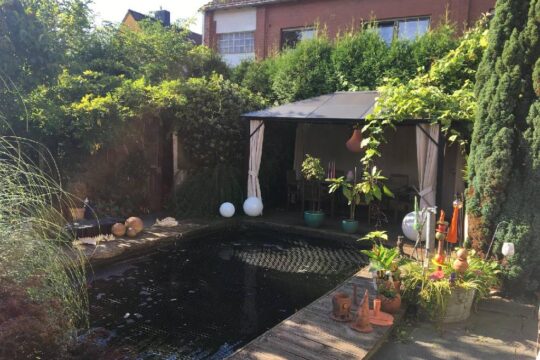 Teich mit verschiedenen Kois